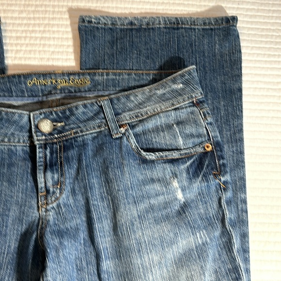 American Eagle distressed jeans, 12/short - Picture 7 of 10